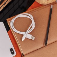USB-Lightning кабель для iPhone/PVC/white/1m/ REXANT 18-1121